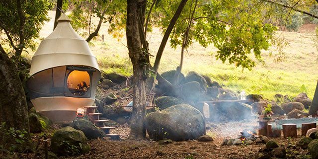 Bel ombre wilderness tour (11)